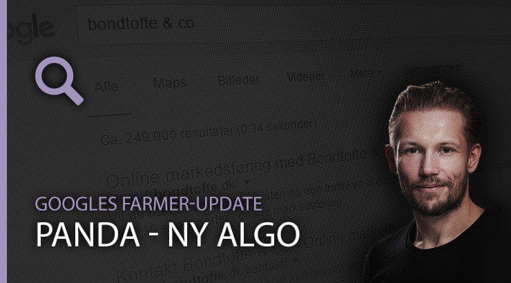 Googles farmer-update (Panda)