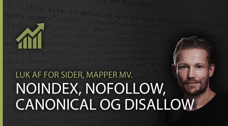 Noindex, nofollow, canonical og disallow
