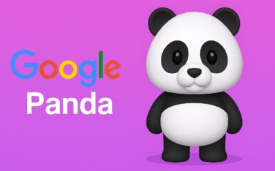Google Panda – Alt det nye og spændende!